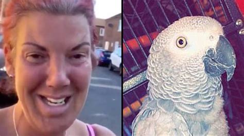 chanel the parrot arrested.